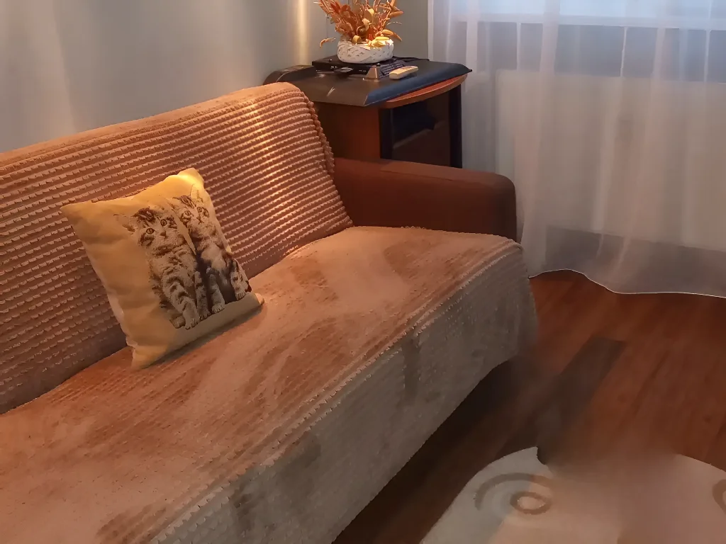 canapea living apartament vanzare cumparare Sector 2 București